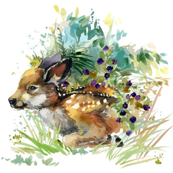 𝅺bundle 2 or more items and get a private offer! - Picture 1 of 1